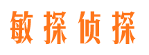 澄江市调查公司